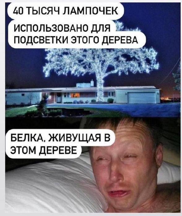 ������� �������� � ����� ��� ���������� (30 ����)