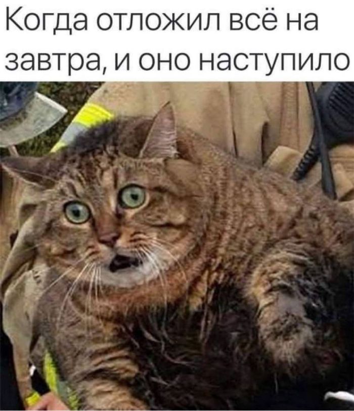 ������� ���� � ������� �� ���� (30 ����)