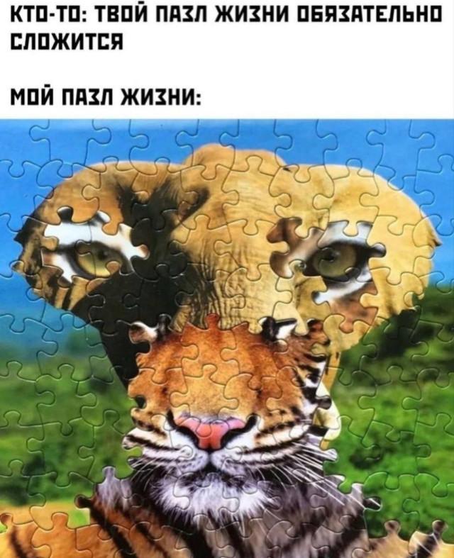 ������ ���� � ������� �� ���� (30 ����)