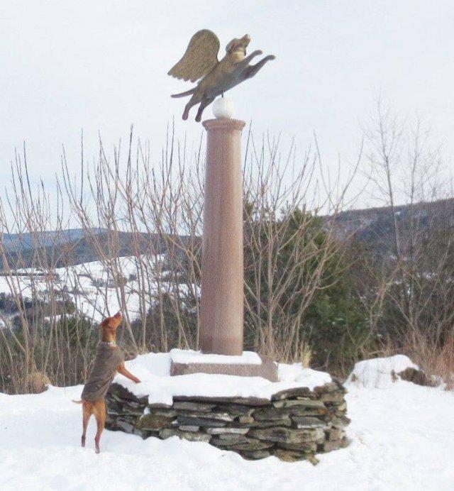 ������ ���� � ������� �� ���� (30 ����)