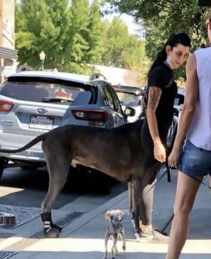 ������� �������� ��� ��������� ���������� (30 ����)