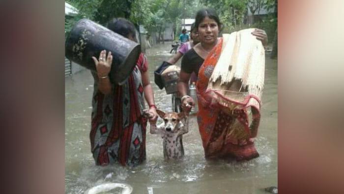 ������� �������� ��� ��������� ���������� (30 ����)