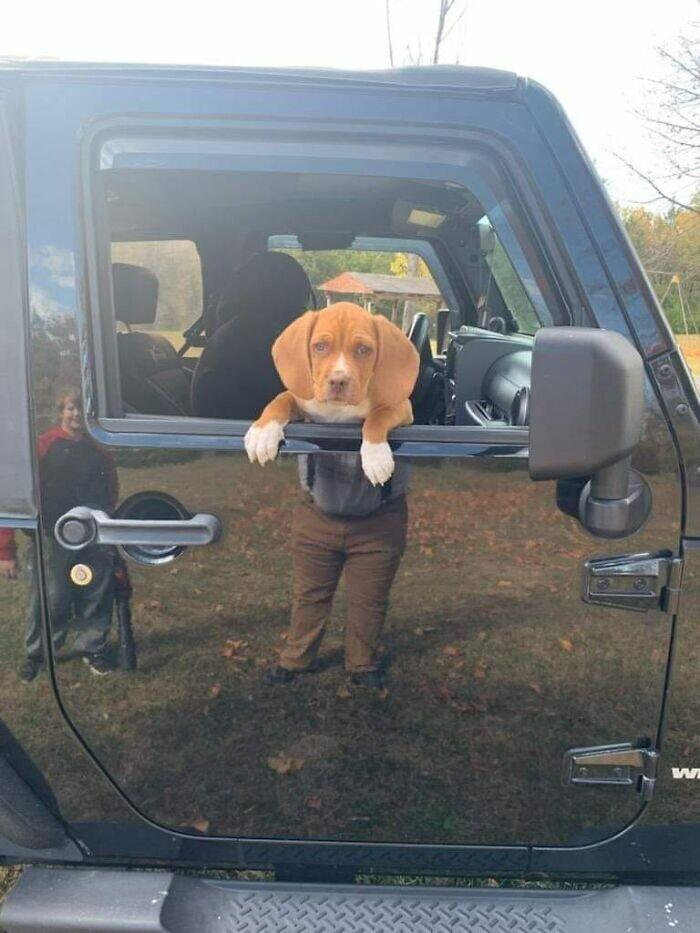 ������� �������� ��� ��������� ���������� (30 ����)