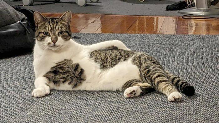 ������� �������� ��� ��������� ���������� (30 ����)