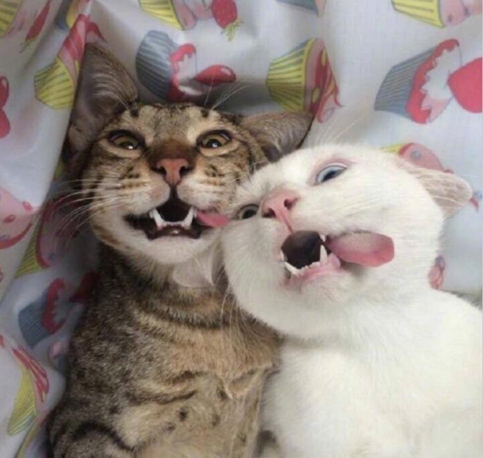 ������� �������� ��� ��������� ���������� (30 ����)