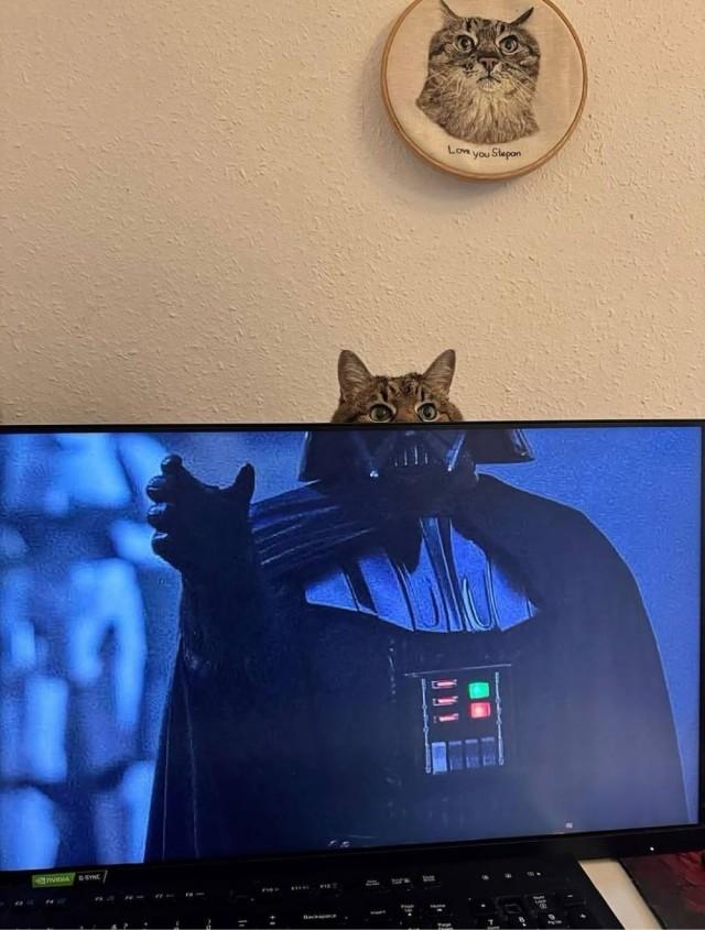 ������� �������� ��� ��������� ���������� (30 ����)