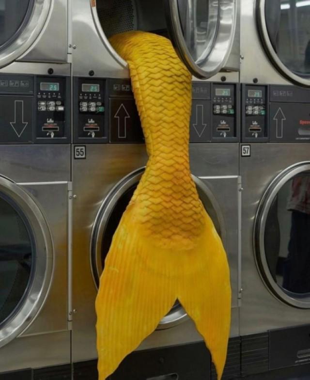 ������ ���� � ������� �� ���� (30 ����)