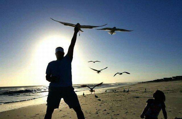 ������ ���� � ������� �� ���� (30 ����)