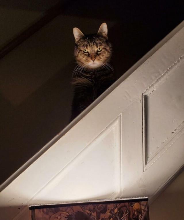 ������ ���� � ������� �� ���� (30 ����)