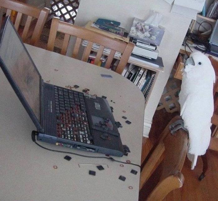 �������� ������� �������� �� ���� (30 ����)