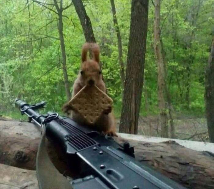 �������� ������� �������� �� ���� (30 ����)