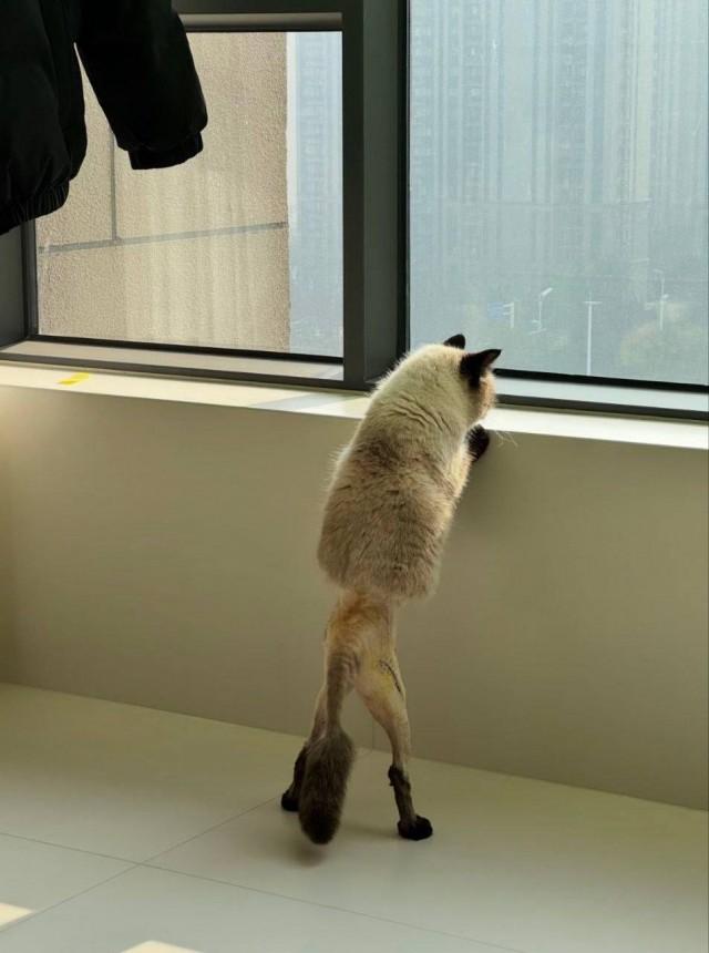 �������� ������� �������� �� ���� (30 ����)