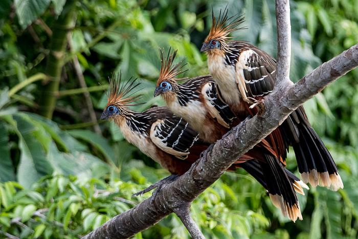 �������� ������� �������� �� ���� (30 ����)