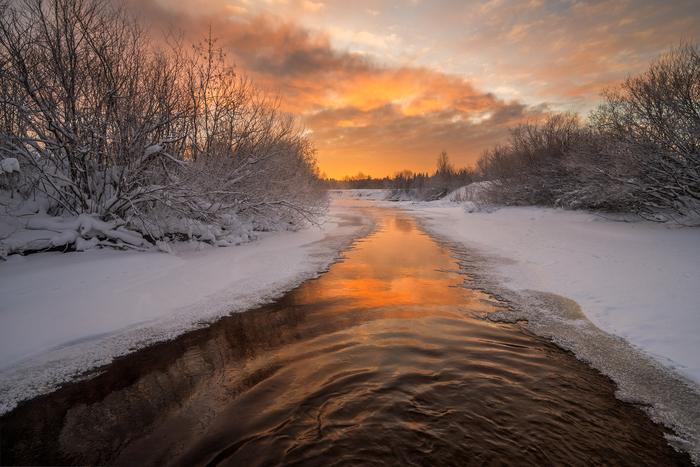 �������� ������� �������� �� ���� (30 ����)