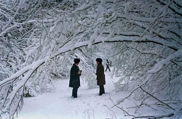 �������� ������� �������� �� ���� (30 ����)