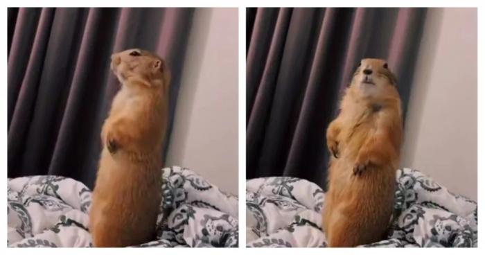 �������� ������� �������� �� ���� (30 ����)