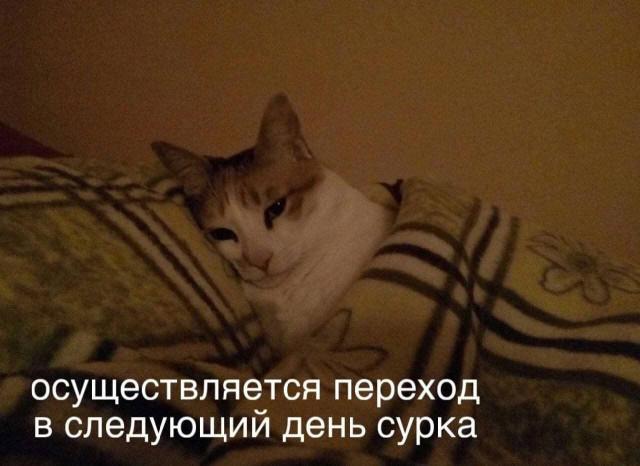 ������� ����� � �������� ��� ���������� (16 ����)