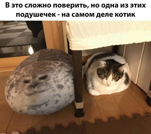 ������� ����� � �������� ��� ���������� (16 ����)