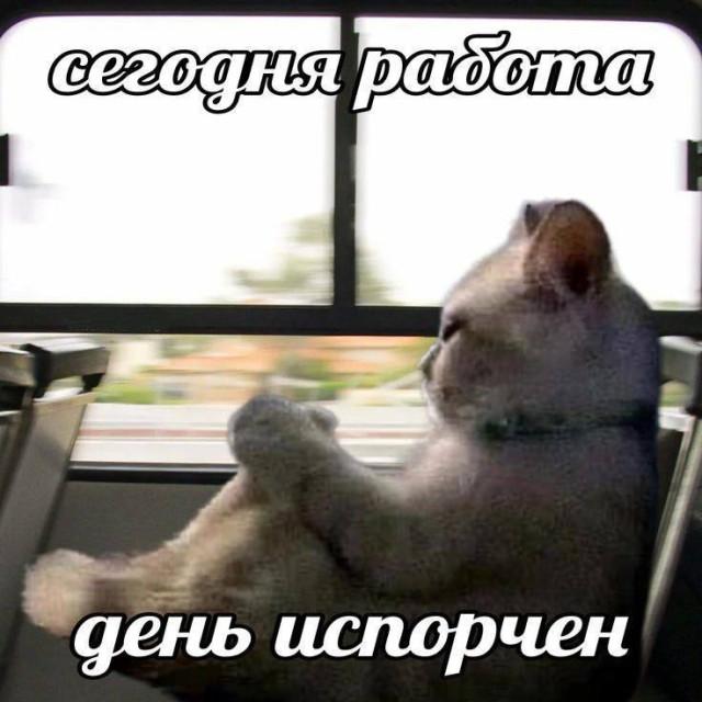 ������� ����� � �������� ��� ���������� (16 ����)