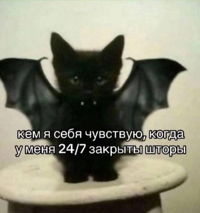 ������� ����� � �������� ��� ���������� (16 ����)