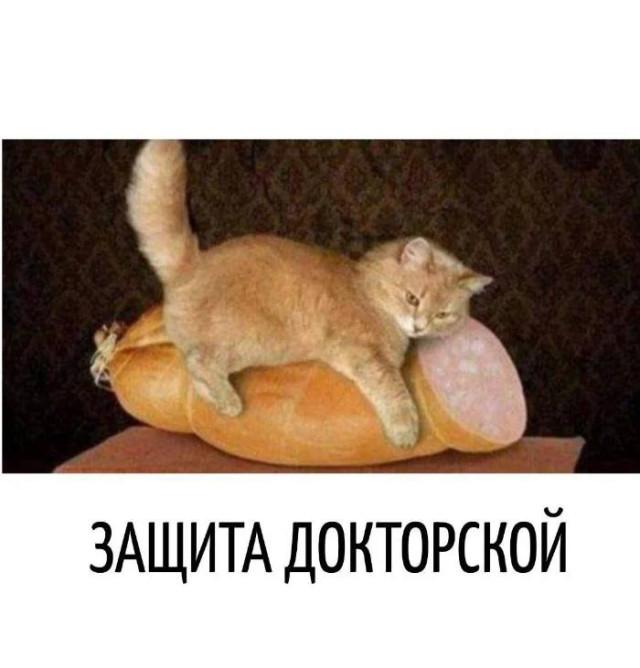 ������� ����� � �������� ��� ���������� (16 ����)