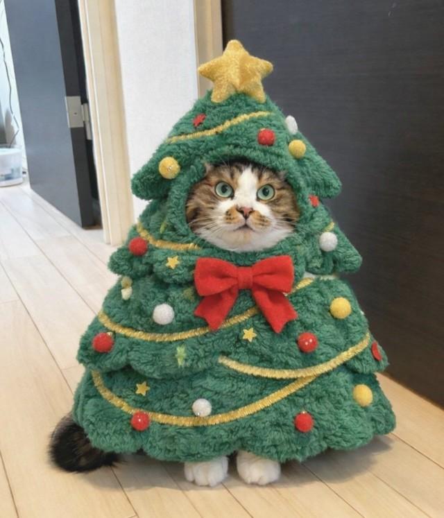 ���������! ������ ���� � ������� �� ���� (27 ����)