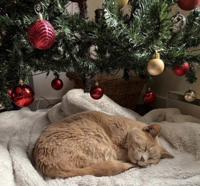 ���������! ������ ���� � ������� �� ���� (27 ����)