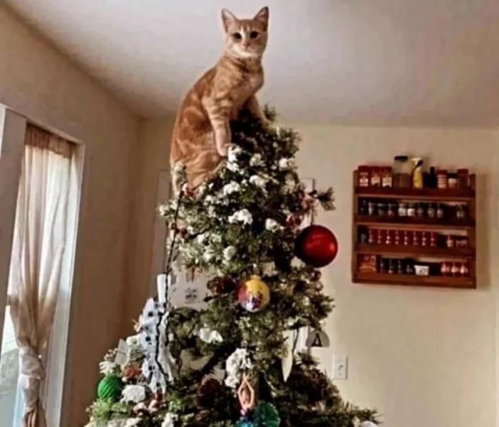 ���������! ������ ���� � ������� �� ���� (27 ����)