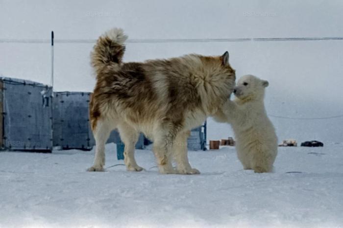 ���������! ������ ���� � ������� �� ���� (27 ����)