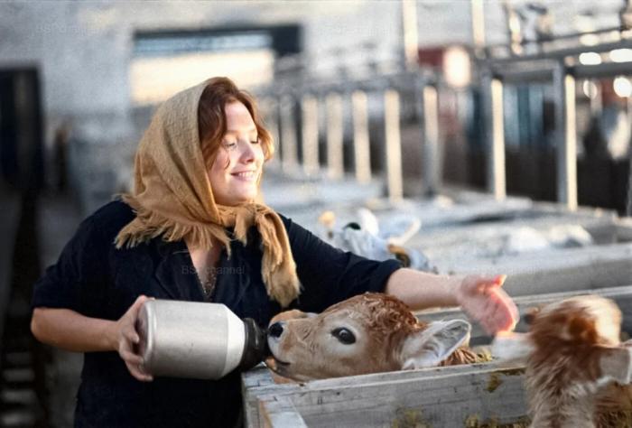 ���������! ������ ���� � ������� �� ���� (27 ����)