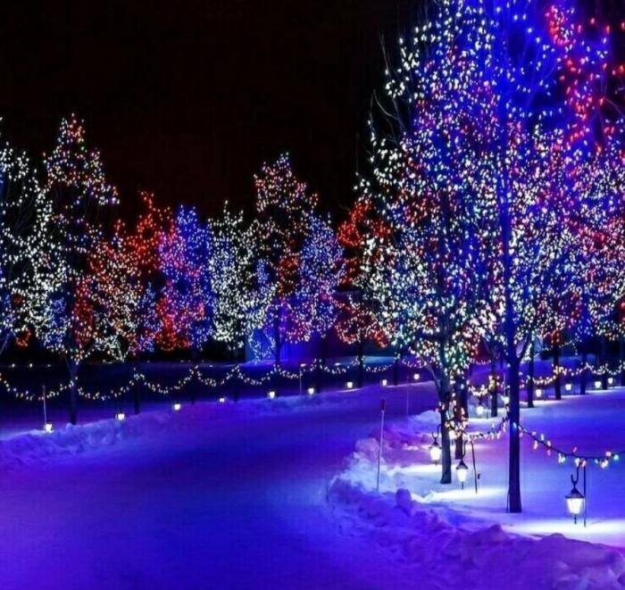 ���������! ������ ���� � ������� �� ���� (27 ����)