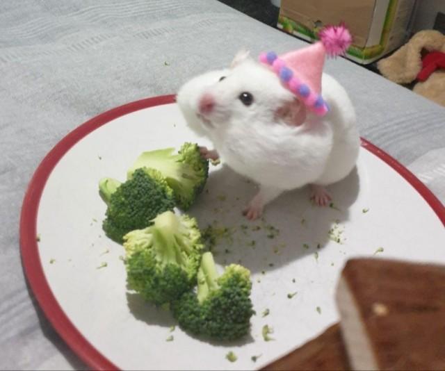 ���������! ������ ���� � ������� �� ���� (27 ����)