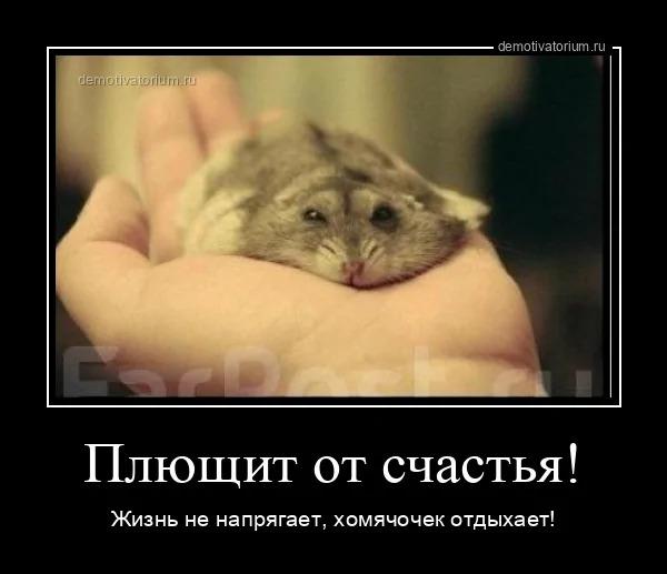 ������������ ������������ (18 ����)