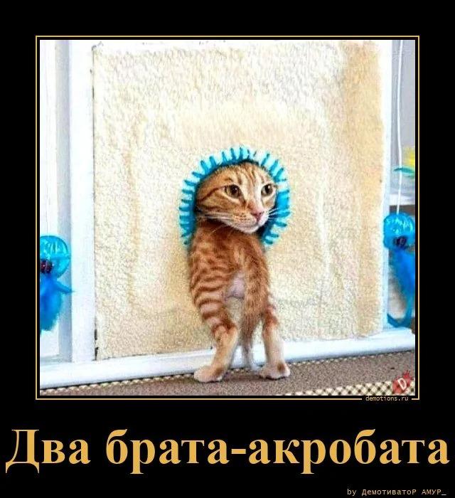 ������������ ������������ (18 ����)