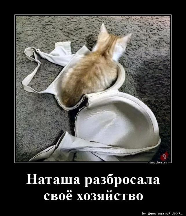 ������������ ������������ (18 ����)