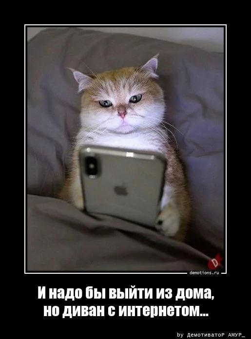 ������������ ������������ (18 ����)