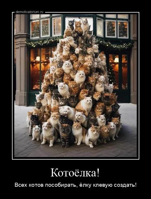 ������������ ������������ (18 ����)