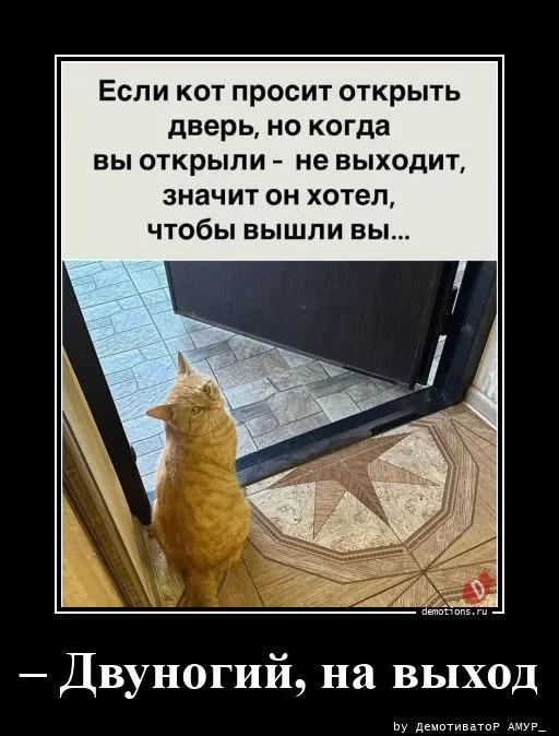 ������������ ������������ (18 ����)