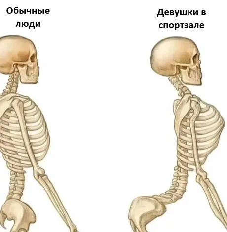 ������� ����� � �������� ��� ���������� (35 ����)