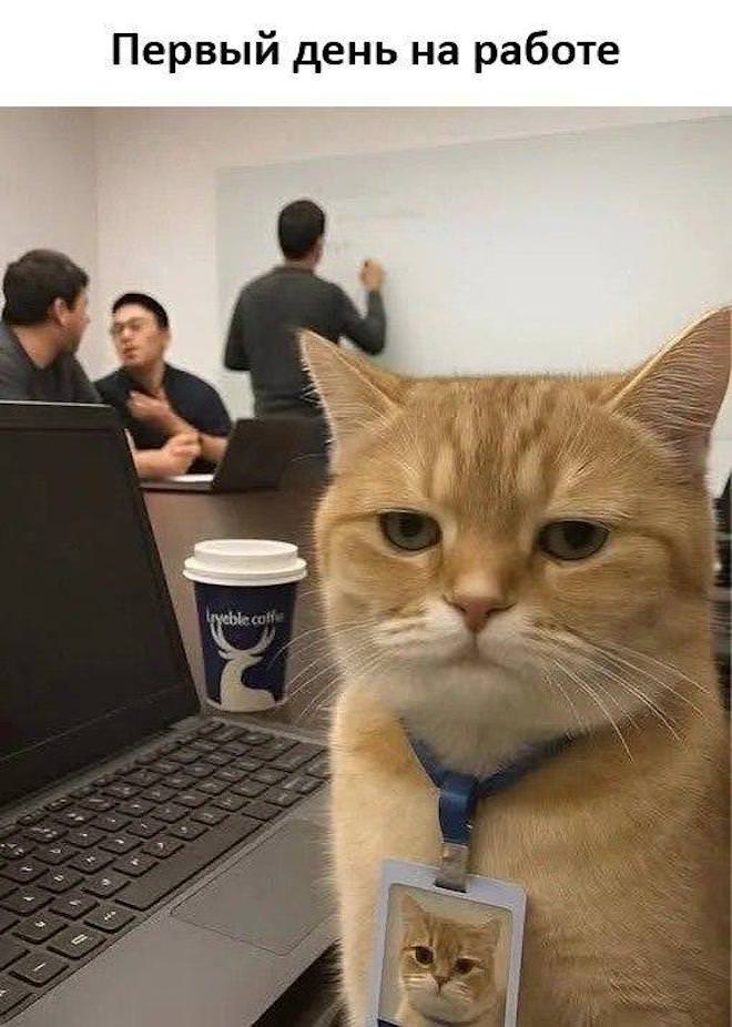 �������� �������� �� ���� (25 ����)