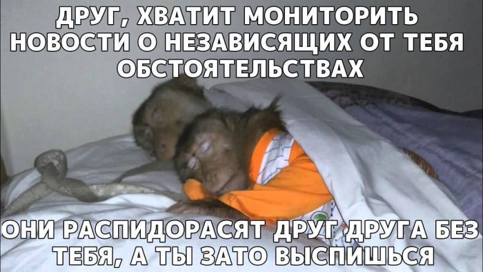 ���� � ������� ��� ��������� ���������� (35 ����)