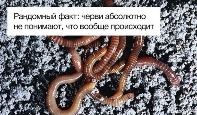 ���� � ������� ��� ��������� ���������� (35 ����)