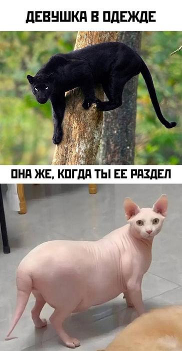 ���� � ������� ��� ��������� ���������� (35 ����)