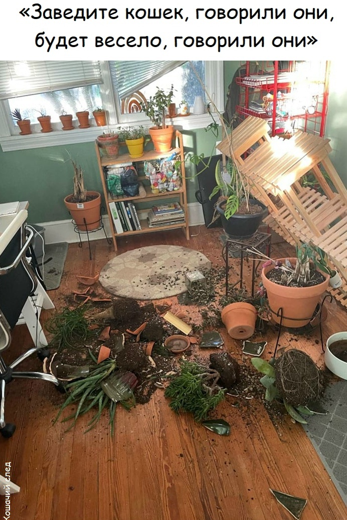 ���� � ������� ��� ��������� ���������� (35 ����)