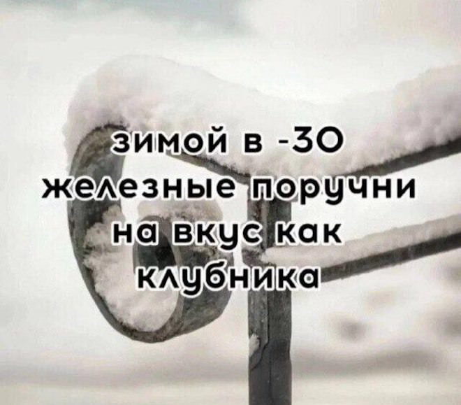 �������� �������� � ����� ��� ���������� (30 ����)