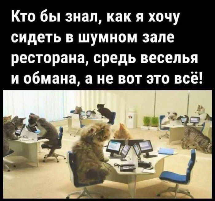 �������� �������� � ����� ��� ���������� (30 ����)