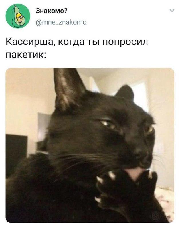 �������� �������� � ����� ��� ���������� (30 ����)