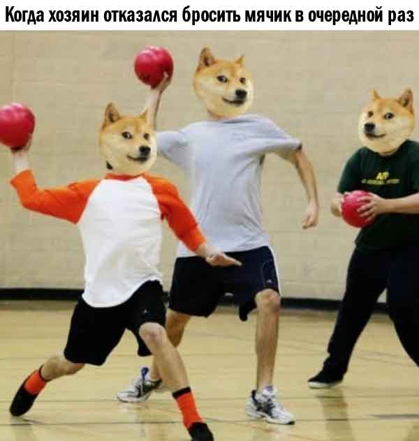 ���������! ���� � ������� ��� ���������� (35 ����)