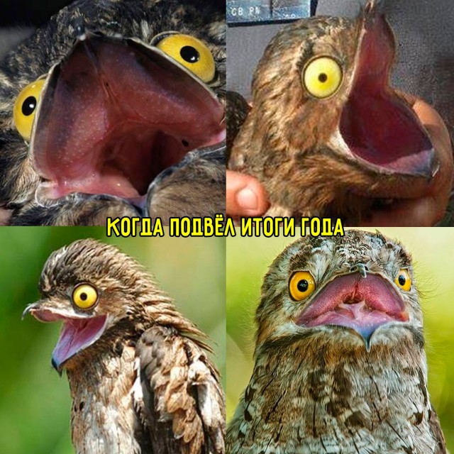 ���������! ���� � ������� ��� ���������� (35 ����)