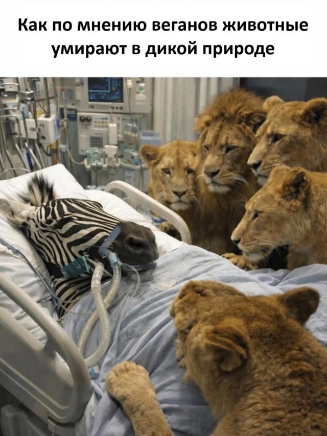 ���������! ���� � ������� ��� ���������� (35 ����)